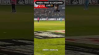 watching Virat Kohli live catch ❤️ india vs newzealand#cricket #cwc2023 #shorts