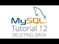 MySQL tutorial 12 - Deleting data
