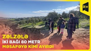 400 metrlik çat əmələ gətirən zeytun bağı zəlzələnin simvollarından biri oldu - Hatay