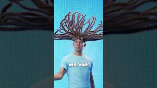 How Dreadlocks Grow 3d Animation