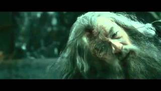 The Hobbit: The Battle of the Five Armies - Extended Edition - Gandalf's Ring