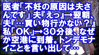 【修羅場】医者「不妊の原因は夫さんです」夫『えっ』→翌朝、夫『…買い物行かない？』私「ＯＫ」→３０分後、なぜか空港に到着。トンデモナイことを言い出して…【Vtuber】【スカッとちゃんねるのマイ】