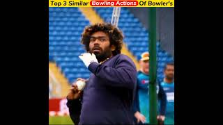Top 3 Similar Bowling Actions Of Bowlers In Cricket History #cricket #shorts
