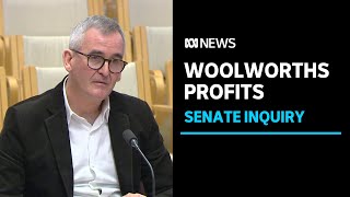 Woolworths CEO Brad Banducci grilled in Senate inquiry into price gouging | ABC