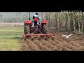 massey ferguson 241 eagle 9tine cultivator performance