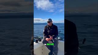 3 Items You Need For Catching Salmon!