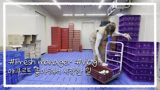 [집착녀 집V-log] 일상 브이로그 |  브이로그  | 업무 중 만난 사람들 | 야쿠르트 | 재고정리ㅣ판촉ㅣ동료 l  프레딧ㅣ점심식사ㅣ쌀국수ㅣ광동탕ㅣ공덕점ㅣ 😁❤😍 ㅣ프레시매니져