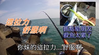 這拉力舒服啊!!今年咬況意外的好，殺魚太累抓幾隻分享給釣友    [磯釣][螺釣][黑鯛][浮標][金寶螺][海釣][釣魚][練餌][南極蝦][硬尾][巴啷][花飛]fishing