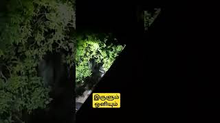 இருளும் ஒளியும்