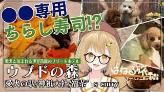 【伊豆高原】愛犬のための高級リゾート「ウブドの森」で豪遊する犬たち！福茶's Curry/愛犬の駅/神祇大社/ぐらんぱるぽーと/伊豆一ノ蔵/ぐり茶の杉山 #はねる旅【因幡はねる / あにまーれ】