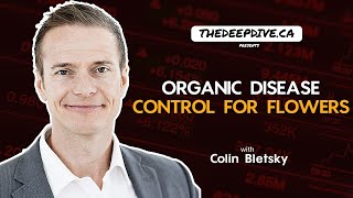 Organic Disease Control for Flowers. - MustGrow's Colin Bletsky [Sumitimo Deal]