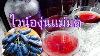 #ไวน์องุ่นแม่มดwitch grape wine ep.256