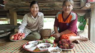 พาชมสวนเด็ดดอกกระเจียวหวานกินกับลาบปลาดุก หมกปลาอาหารเพียบแซ่บนัว