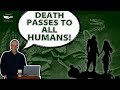 Was There Animal Death Before The Fall of Adam?