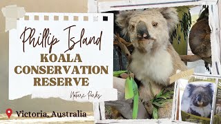 Koala Conservation Reserve, Phillip Island | Places to visit from Melbourne | Australia Travel Guide