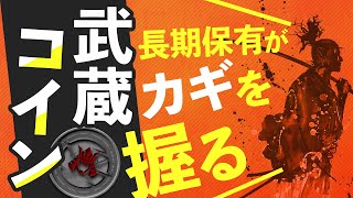 【激アツ情報】武蔵コインを保有するだけで手に入れられるものとは！？【MUSASHI】【MSS】【DEX】【Defi】【武蔵トークン】