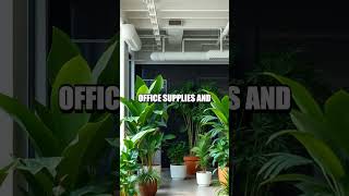 Sustainable Workspaces: Creating Eco-Friendly Offices