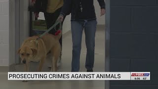 Alamance County District Attorney launches new team dedicated to crimes against animals