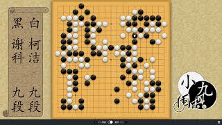 小九围棋：今日时局 谢科犀利弃子反杀 柯洁围起大空 关键时刻 祭出掏空绝招