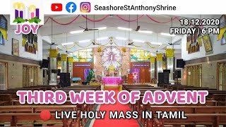 Holy Mass (6.00 PM) | 18.12.2020