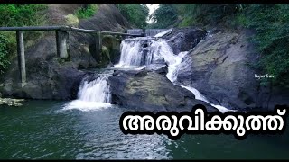 Aruvikuthu Waterfalls | Thodupuzha | Waterfalls in Idukki