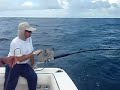 fishing grouper with electric reel lp 1200