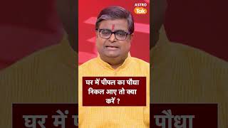 घर में पीपल का पौधा निकल आए तो क्या करें | Astro Tak #shorts