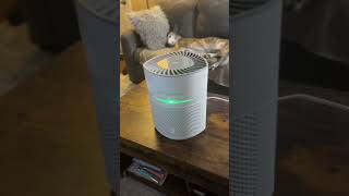 Germ Guardian cleans air effortlessly