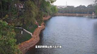 民宿旁边的小湖 Small lake beside the homestay