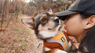 가족들과 소소한 아침🐶