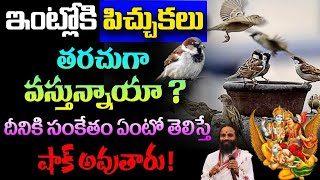 ఇంట్లోకి పిచ్చుకలు తరచుగా వస్తున్నాయా? దీనికి సంకేతం ఏంటో తెలిస్తే షాక్ .!||Pichukalu Intloki Vaste