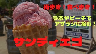 【サンディエゴ】 街歩き！食べ歩き！