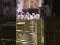 Shaikh Abdullah Al Juhani Leading Salat-UL-Tarawi in Masjid-Al-Haram 🕋