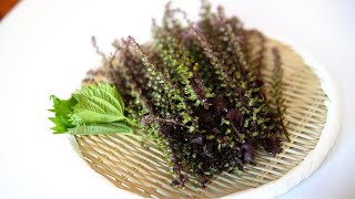 perilla fruit  Shiso　dried young sardines FURIKAKE