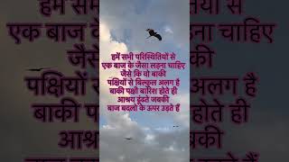 बाज से सिखने योग्य बात | Eagle Attitude | #motivation #life