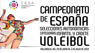 Pista 8 CESA Voleibol Cadete Masculino - Jornada Tarde Sábado 01/07/2023