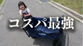 4歳女子でも引けるキャリーとAmazonベストセラーレビュー