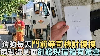 叔叔快過來了！狗狗每天「門前等司機」討摸摸,兩週沒見面卻發現「信箱有驚喜」！｜#寵物動物｜#狗狗｜#感動｜#暖心｜#狗