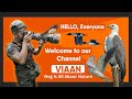 Welcome to our YouTube channel VIAAN | #nature  #shorts #shortvideo #wildlife #vlog