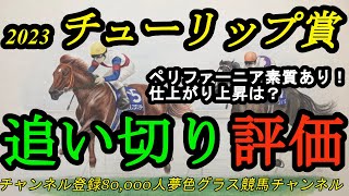 【最終追い切り評価】2023チューリップ賞全頭！ペリファーニアが叩き出す脅威の坂路終い1F時計とは！桜花賞へ迎える素質を秘めているのは？