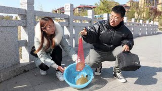 美女桥上卖王八，没想小伙听错一个字，美女赔大了