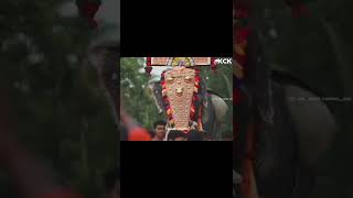 ❤️🔥നമ്മുടെ കര്‍ണ്ണന്‍ 🤩🤩🔥🔥❤️❤️💯💯💯💯#karnan #elephant #karnanfans #shorts #YOUTUBE #subscribe