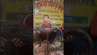 বোয়াল মাছ কাটিং| 26 Kg Wallago Attu Boal Fish Cutting | Boal Fish Cutting Skills |