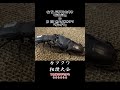 パラワンオオヒラタクワガタ パラパラ vs ホペイオオクワガタ ザングフ 虫バトル 昆虫バトル