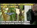 3 INSEKTISIDA AMPUH BASMI HAMA LEMBING PADA TANAMAN PADI