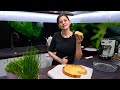 Луковый Пирог очень Сытно и Вкусно