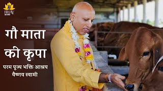 Shri Gopastami 2024 | HH Bhakti Ashraya Vaisnava Swami Maharaj