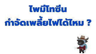 ไพมีโทซีน กำจัดเพลี้ยไฟได้ไหม ?