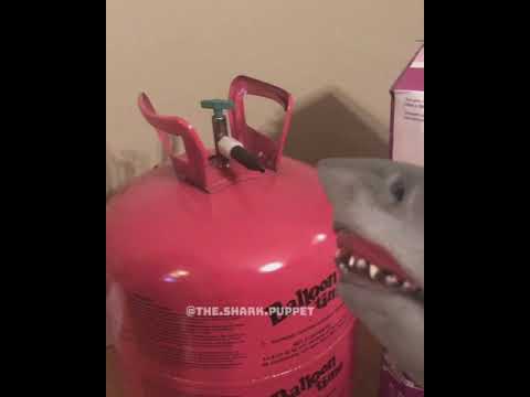 Shark Puppet Drinks Helium Youtube