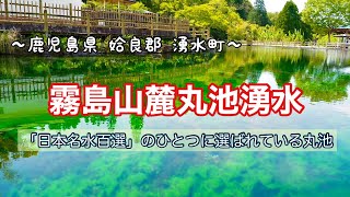 ～鹿児島県 姶良郡 湧水町～ 霧島山麓丸池湧水 「日本名水百選」のひとつに選ばれている丸池